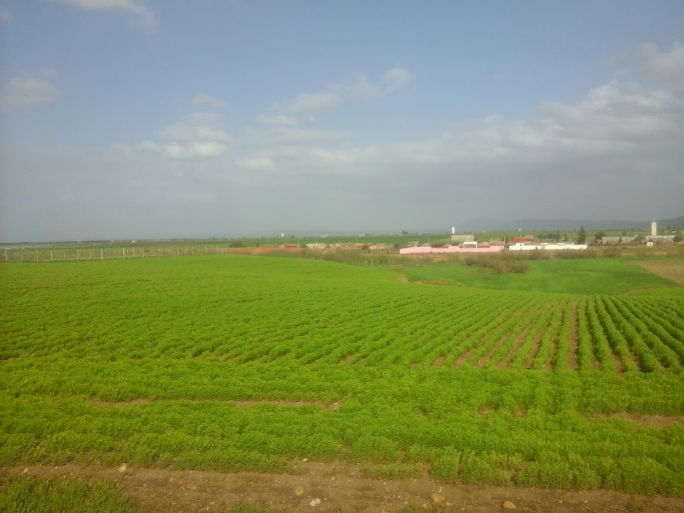 Sidi Slimane