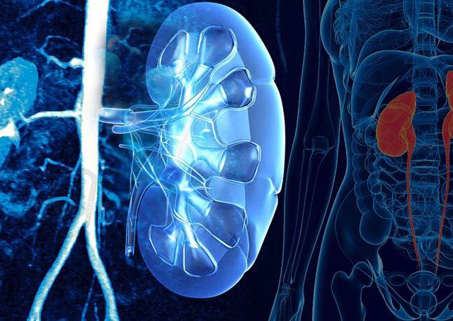 Dr Makhloufi Mohamed (Chirurgien Urologue) الدكتور مخلوفي محمد - Nador - +212 5366-00061