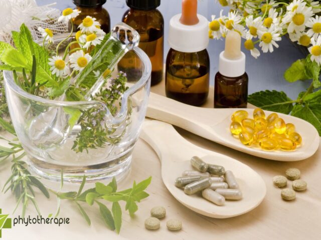phytotherapie -  - +212 770-095482
