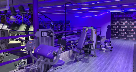 Body masters gym - Dubai - +971 50 338 8933