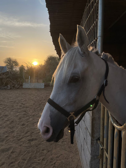 مربط بن حيدر - United Arab Emirates|Al Digdaga - Ras al Khaimah|1 4A شارع