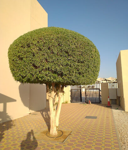 EFS male accommodation - Dubai -