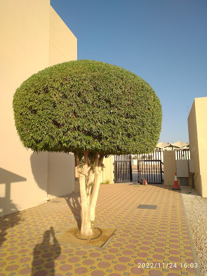 EFS male accommodation - United Arab Emirates|Abu Dhabi|Unnamed Road|4RWJ+R9Q