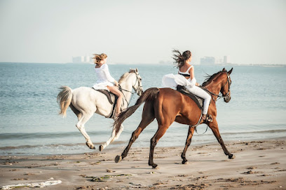JSR EQUESTRIAN CLUB - Dubai - +971 50 711 6948