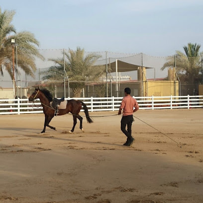 نادي الشهامة للفروسية AL Shahama Equestrian Club - Dubai - +971 54 444 6762
