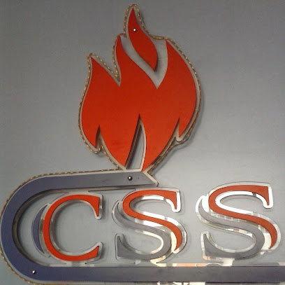 CASTLE SECURITY & SAFETY SYSTEMS EST. - Ajman - +971 3 755 7355