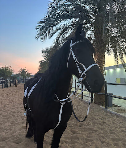 Horseland - Dubai - +971 50 111 1050