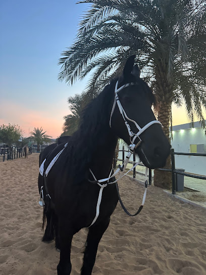Horseland - United Arab Emirates|Al Bahyah - Abu Dhabi|13 Lane 406