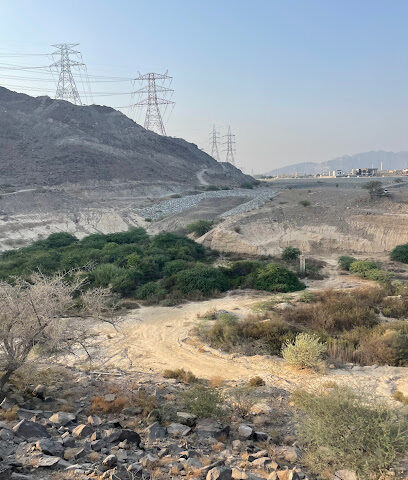 Fujairah Adventures Mirbah Hiking Trail - Dubai -