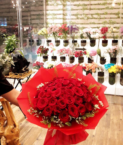 اوركيد للزهور - Orchid flowers muwellah - Ajman - +971 50 493 3911