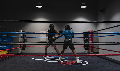 Punch 360 - Dubai - +971 4 568 1939