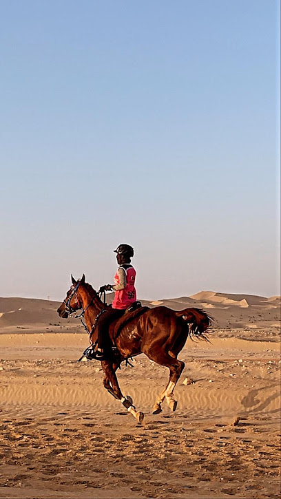 Desert Hack Riding Club - United Arab Emirates|Dubai|D835 Al Ruwayyah