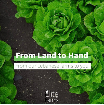 Elite Farms - Ajman - +971 52 841 2771