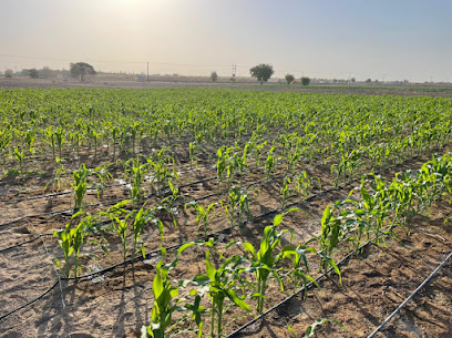 Ghalya Farm Agricultural Products - Ajman -