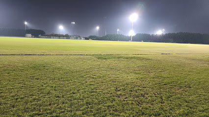 Oval Cricket stadium Ajman - Dubai -