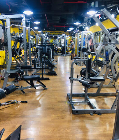 Fitzone GYM - Dubai - +971 50 992 7278