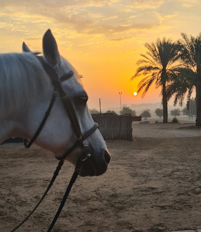 Al Asayl Racing & Equestrian Club - Dubai - +971 2 582 5577