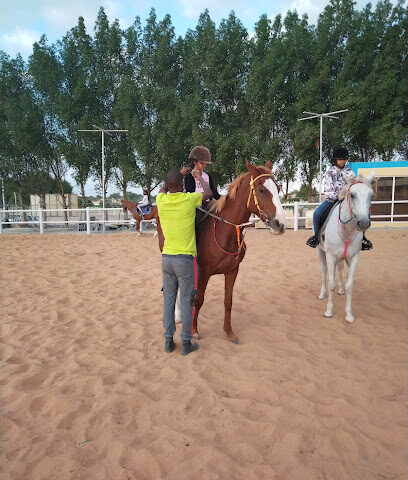 Alkhamis Horse Riding and Training - Dubai - +971 55 564 5551