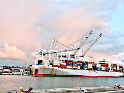 Aeron Cargo Services in Abu Dhabi, UAE - Door to Door Shipping Services - Ajman - +971 2 555 1655