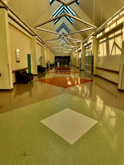 Sheikh Khalifa Medical City Ajman Emergency - United Arab Emirates|Ajman|University St