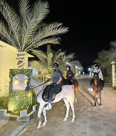 MRS stable - Dubai - +971 52 792 0788