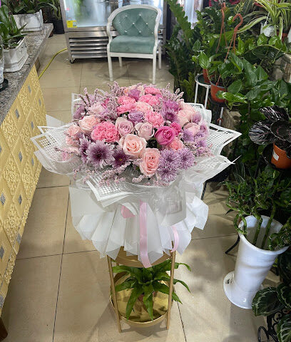 Desert Rose Flowers Ornamental Plants Trading LLC - Ajman - +971 50 232 4147