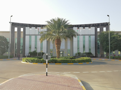 Alain National Driving School - Ajman - +971 50 819 1119