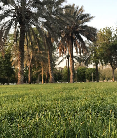 Green Belt Ladies Park - Dubai - +971 6 516 2328
