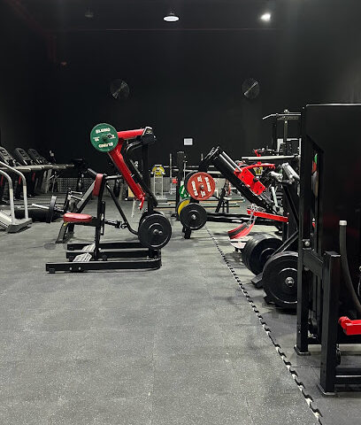 Alpha GYM - Dubai - +971 54 706 7667