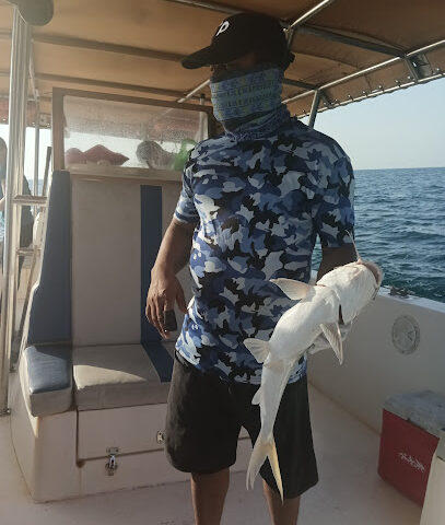 Atlas Organize Cruises اطلس لتنظيم الرحلات البحرية - Ajman - +971 55 557 2066