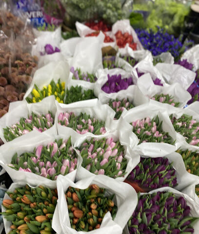 Firenze Flora Trading LLC - Ajman - +971 4 399 3751