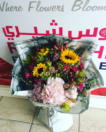 Rose Cherry FLOWERS - United Arab Emirates|Falaj Hazza' - Al Mnaizlah - Abu Dhabi|6P2P+GPF
