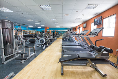 Bodylines Fitness & Wellness Club - Dubai - +971 4 323 0159