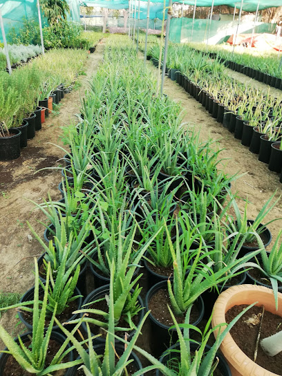 Abu Dhabi Gardening Services LLC - United Arab Emirates|Al Nahyan - Abu Dhabi|Muroor Rd|F93V+VC8