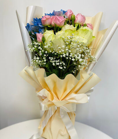 Fella.ae - Ajman - +971 50 834 1282