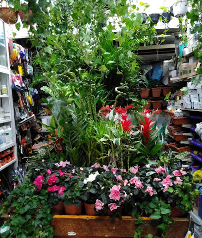 Al Madina Garden - Dubai - +971 4 344 7853