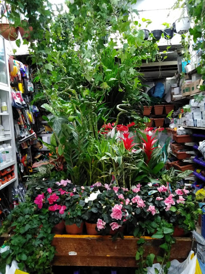 Al Madina Garden - United Arab Emirates|Dubai|Al Hudaiba Rd|Salem Sheikh Building