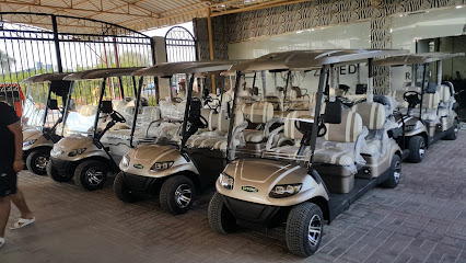 Royal Car Golf Carts - Bait Al Nukhbah Used Cars Tr. LLC - Dubai - +971 58 939 8319