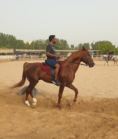 Al Wasl Equestrian Stables - Dubai - +971 50 655 5215