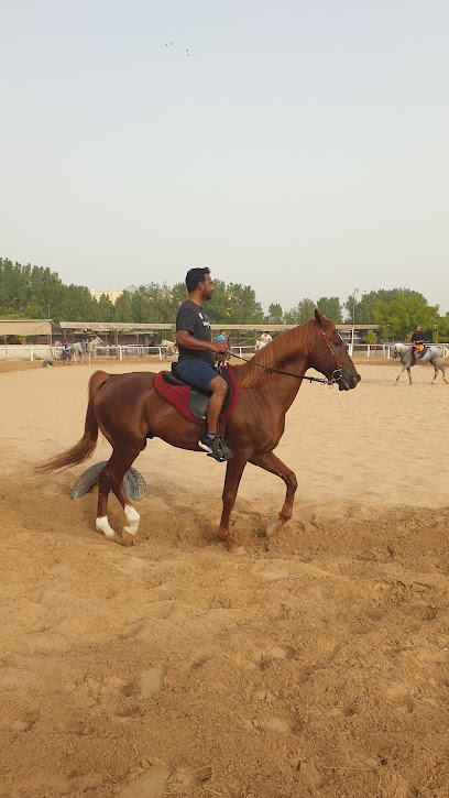 Al Wasl Equestrian Stables - United Arab Emirates|Wadi Al Amardi - Dubai|Al Khawaneej St|6F98+H7M