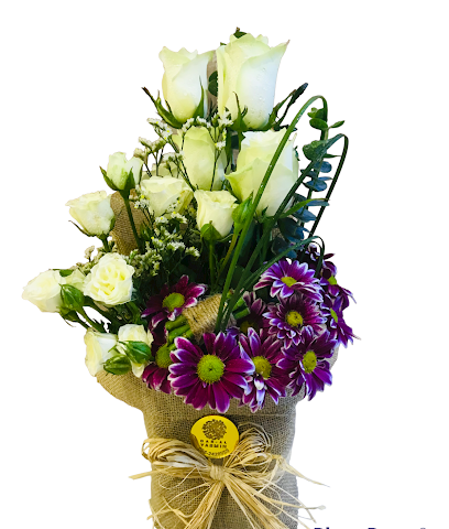 Dar Al Yasmin - Ajman - +971 52 910 6535