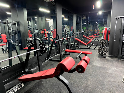 100 GYM - Dubai - +971 50 330 0667