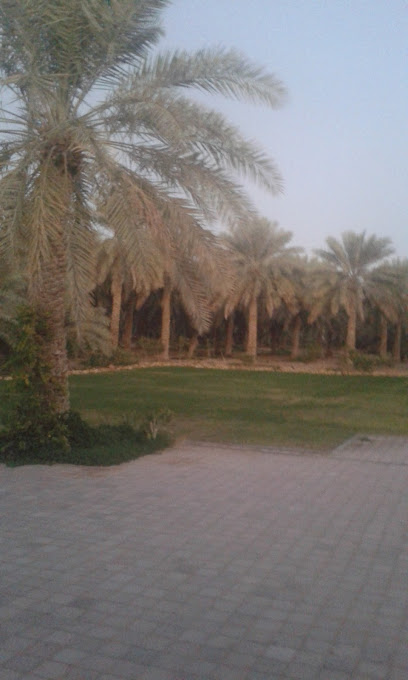 Khalfan Khamis AlAmimi Hili Farm - United Arab Emirates|Hili - Abu Dhabi|Dubai road|7QV5+6CM