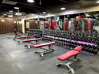 Fat To Fit Fitness Gym - Dubai - +971 56 556 5003