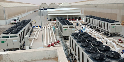 PERFECT MOUNTAIN MAINTENANCE - Dubai - +971 54 531 3730