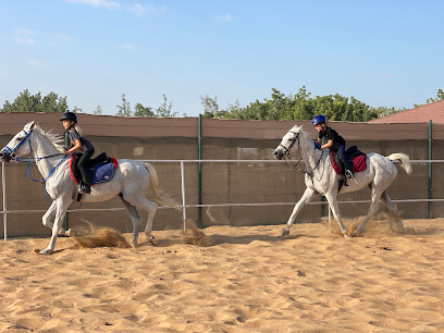 Al omar stables - Dubai - +971 52 680 5884