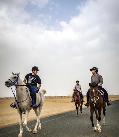 Horse riding in Dubai - Dubai - +971 52 421 1142