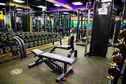 GYMTOWN BODY BUILDING - Dubai - +971 4 254 7866