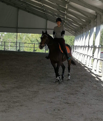 AlHamra Equestrian LLC. - Ajman - +971 4 385 7671