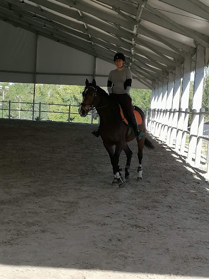 AlHamra Equestrian LLC. - United Arab Emirates|Al Khawaneej - Al Khawaneej 2 - Dubai|6G5G+76M